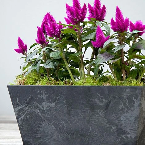 Balcony Trough Ella Black H17Cm D37Cm 5 Balcony Trough Ella Black H17Cm D37Cm - Image 3