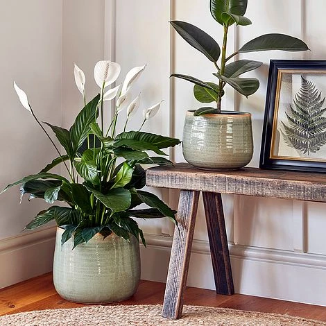 Pot Como Mint H17Cm D21Cm 4 Pot Como Mint H17Cm D21Cm - Image 2