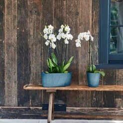 Pula Recylable Planter Sapphire H25Cm D24Cm 7 Pula Recylable Planter Sapphire H25Cm D24Cm -PlantHub Shop 150609 1copy