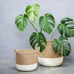 Geilo Jute White Lined Basket H27Cm D28Cm -PlantHub Shop 165308 1