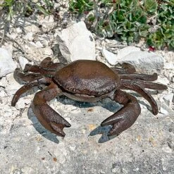 Crab Garden Ornament In Cast Iron 16 Crab Garden Ornament In Cast Iron -PlantHub Shop 2873 6