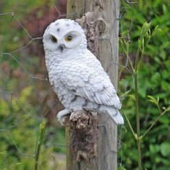 Wall Mountable Snowy Owl Bird On A Branch Garden Ornament -PlantHub Shop 3445 SNOW 5