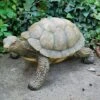 Large Tortoise Garden Animal Ornament 1 Large Tortoise Garden Animal Ornament -PlantHub Shop 3617