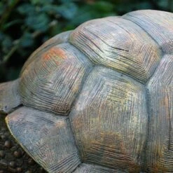 Large Tortoise Garden Animal Ornament 9 Large Tortoise Garden Animal Ornament -PlantHub Shop 3617 2
