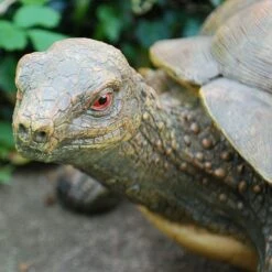 Large Tortoise Garden Animal Ornament 11 Large Tortoise Garden Animal Ornament -PlantHub Shop 3617 4