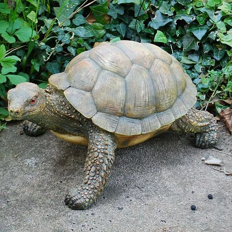 Large Tortoise Garden Animal Ornament 3 Large Tortoise Garden Animal Ornament