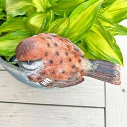 Large Sparrow Bird Garden Ornament -PlantHub Shop 3662L 10