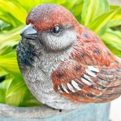 Large Sparrow Bird Garden Ornament -PlantHub Shop 3662L 6