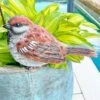 Large Sparrow Bird Garden Ornament -PlantHub Shop 3662L 8