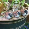 Set Of 3 Pot Topping Sparrow Bird Garden Ornaments -PlantHub Shop 3663XS