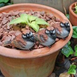 Set Of 3 Pot Topping Sparrow Bird Garden Ornaments -PlantHub Shop 3663XS 2