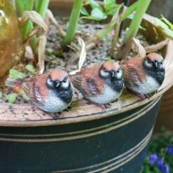 Set Of 3 Pot Topping Sparrow Bird Garden Ornaments