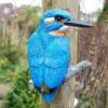 Wall Mountable Kingfisher Bird Garden Ornament -PlantHub Shop 3702