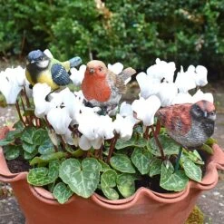 3 Garden Birds On Sticks Outdoor Ornaments -PlantHub Shop 3714 4