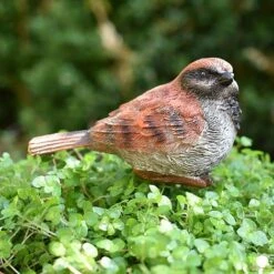 3 Garden Birds On Sticks Outdoor Ornaments -PlantHub Shop 3714 9