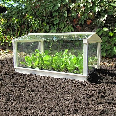 Long Cloche 4 Long Cloche - Image 2