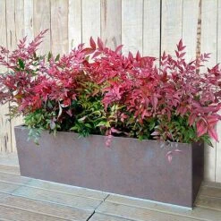 Weathered Iron Planters -PlantHub Shop 592499