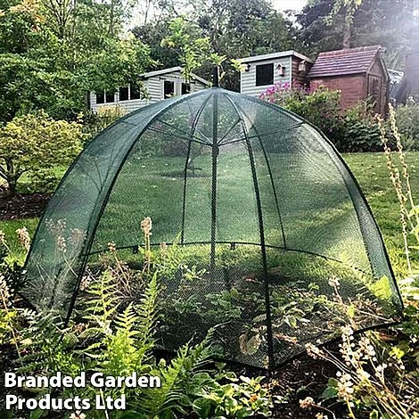 Brolly Cloche 3 Brolly Cloche