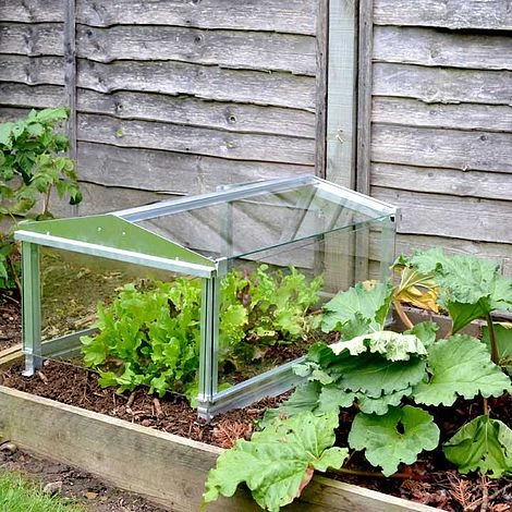 Long Cloche 3 Long Cloche