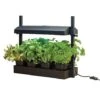 Grow Light Garden (Black) -PlantHub Shop 783341