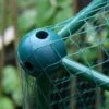 Butterfly Protection Cage -PlantHub Shop 784010
