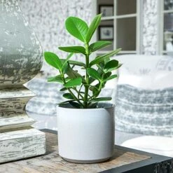 Leon White Planter 28Cm -PlantHub Shop 99428WG 1