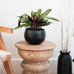 Hammered Bowl Black/Copper 19Cm 7 Hammered Bowl Black/Copper 19Cm -PlantHub Shop AC19B 1