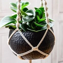 Hammered Bowl Black/Copper 19Cm 8 Hammered Bowl Black/Copper 19Cm -PlantHub Shop AC19B 2