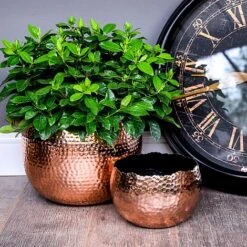 Hammered Bowl Copper/Black 19Cm -PlantHub Shop AC19C 2