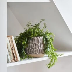 Arles Leaf Embossed Mocha Planter H17Cm D18Cm 5 Arles Leaf Embossed Mocha Planter H17Cm D18Cm -PlantHub Shop ALEMP18 1