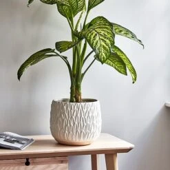 Arles Leaf Embossed White Planter H20Cm W22Cm -PlantHub Shop ALEWP22 1