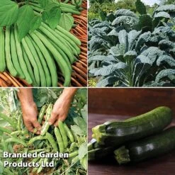 Allotment Seed Collection 8 Allotment Seed Collection -PlantHub Shop ALLO KC9289 C