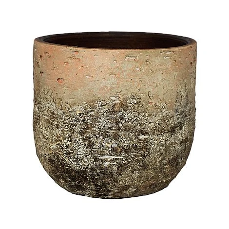 Albero Planter H26Cm D28Cm 3 Albero Planter H26Cm D28Cm