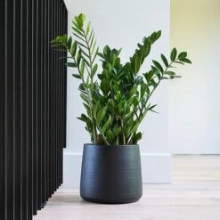 Akemi Planter Carbon Black H25CM D27CM -PlantHub Shop APCB27 1