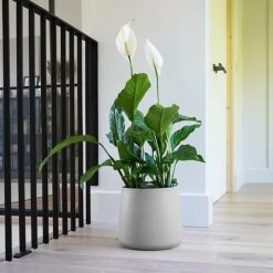 Akemi Planter Clean Grey H20CM D22CM -PlantHub Shop APCG22 1