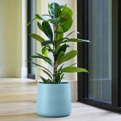 Akemi Planter Nordic Blue H20CM D22CM -PlantHub Shop APNB22 1