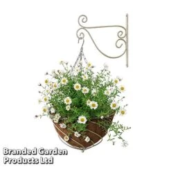 Large Hanging Basket Kits -PlantHub Shop BASK LARGECREA B