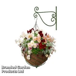 Large Hanging Basket Kits -PlantHub Shop BASK LARGEGREE B