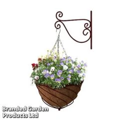 Large Hanging Basket Kits -PlantHub Shop BASK LARGEWINE B