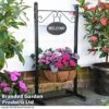 Welcome Planter -PlantHub Shop BASK WELCOMESI T31325