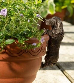 Antique Bronze Coloured Basset Hound Pot Buddy - Pot Hanger -PlantHub Shop BASSETT20 20320 20PB0032