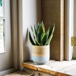 Bamboo Grey Planter D28Cm 5 Bamboo Grey Planter D28Cm -PlantHub Shop BGP28 1