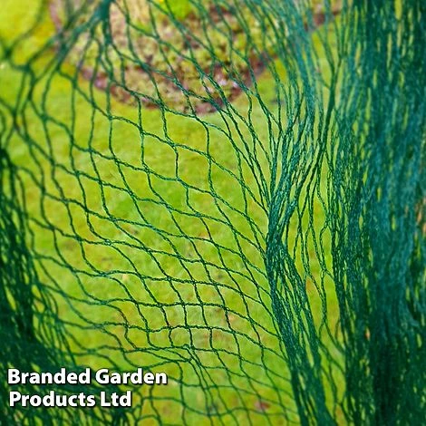 No Frills Cage 20mm Bird Net 3 No Frills Cage 20mm Bird Net