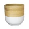 Bamboo White Planter D23Cm -PlantHub Shop BWP23