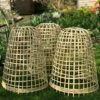 Bamboo Bell Cloche & Garden Plant Protection Cover - Medium -PlantHub Shop Bamboo20Cloche20pk203201000x100020850kb