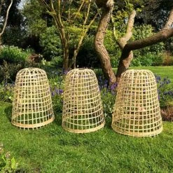 Bamboo Bell Cloche & Garden Plant Protection Cover - Medium -PlantHub Shop Bamboo20Cloche20pk203201000x100020942kb1
