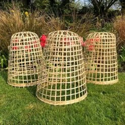 Bamboo Bell Cloche & Garden Plant Protection Cover - Small 10 Bamboo Bell Cloche & Garden Plant Protection Cover - Small -PlantHub Shop Bamboo20Cloche20pk203201000x100020973kb2