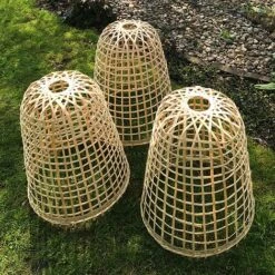 Bamboo Bell Cloche & Garden Plant Protection Cover - Small 11 Bamboo Bell Cloche & Garden Plant Protection Cover - Small -PlantHub Shop Bamboo20Cloche20pk203201000x100020992kb1