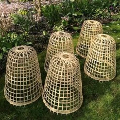 Bamboo Bell Cloche & Garden Plant Protection Cover - Small 12 Bamboo Bell Cloche & Garden Plant Protection Cover - Small -PlantHub Shop Bamboo20Cloche20pk205201000x100020916kb2