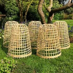 Bamboo Bell Cloche & Garden Plant Protection Cover - Medium -PlantHub Shop Bamboo20Cloche20pk205201000x100020945kb1